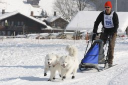 Lenk 2012 SM